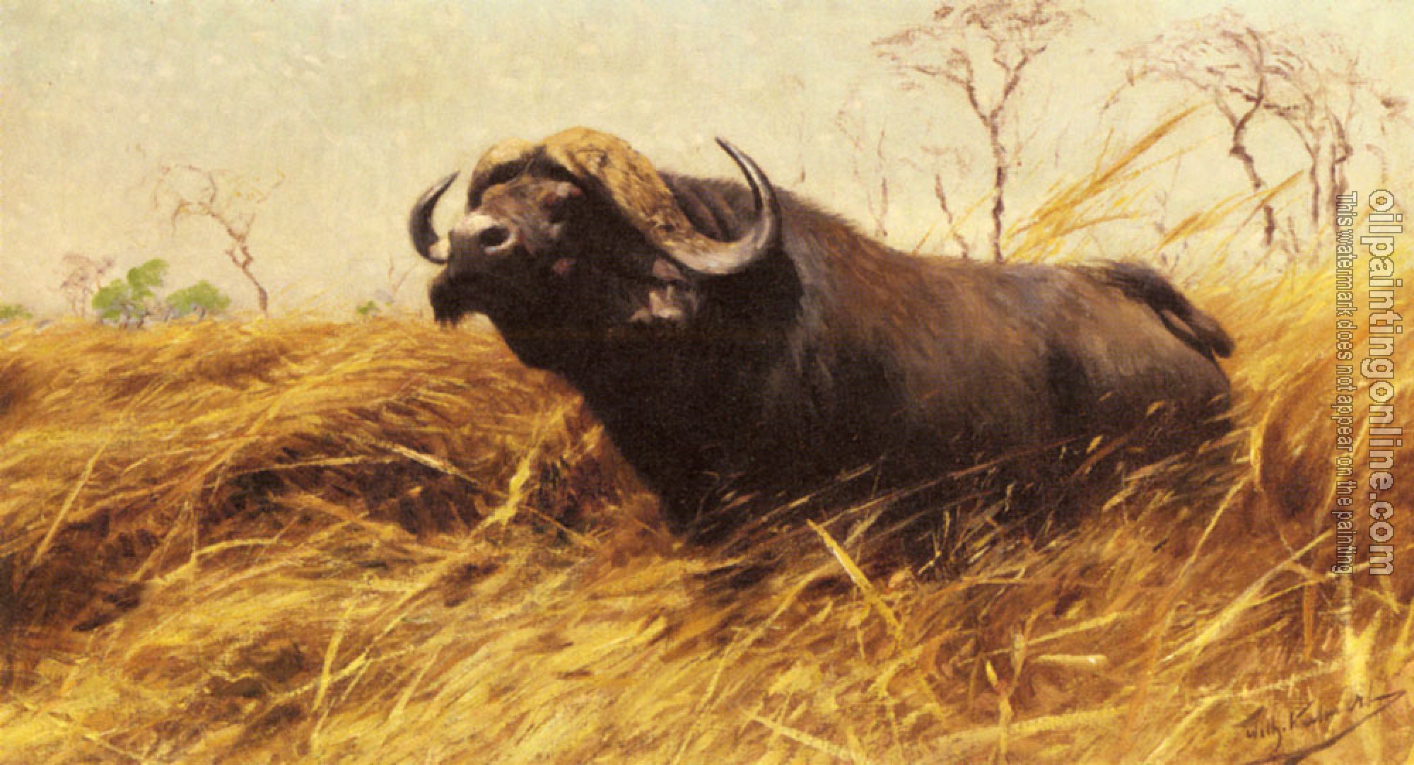 Friedrich Wilhelm Kuhnert - An African Buffalo